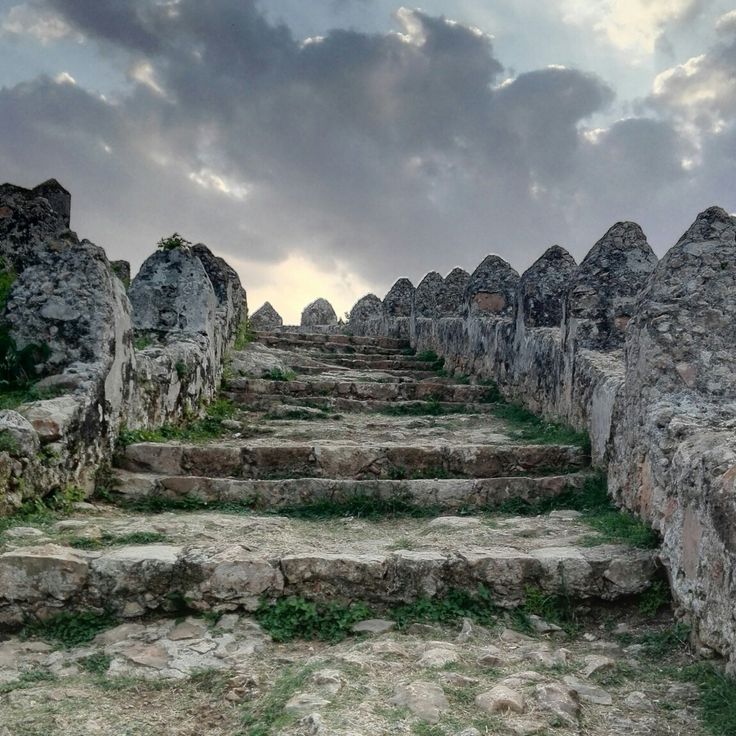 Descripción de la imagen